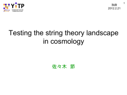 Testing the string theory landscape in cosmology