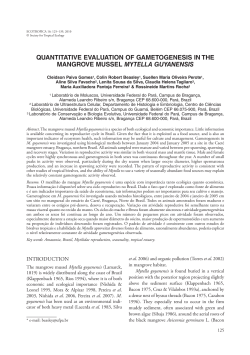 Quantitative evaluation of gametogenesis in the mangrove mussel