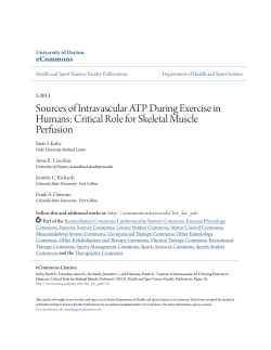 Sources of Intravascular ATP During Exercise in Humans
