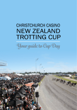 Christchurch Casino NZ Trotting Cup - Cup Guide