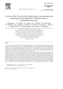 A review of the Si cycle in the modern ocean - Lamont