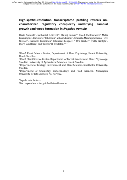 High-spatial-resolution transcriptome profiling reveals