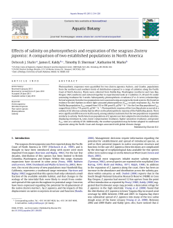 Effects of salinity on photosynthesis and respiration of the seagrass