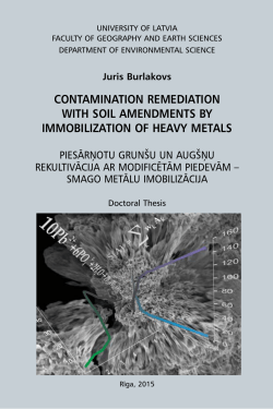 contamination remediation with soil amendments by immobilization
