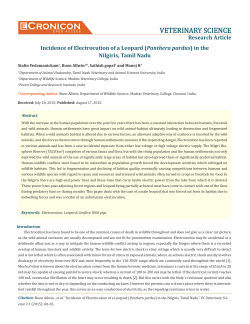 Incidence of Electrocution of a Leopard (Panthera - E