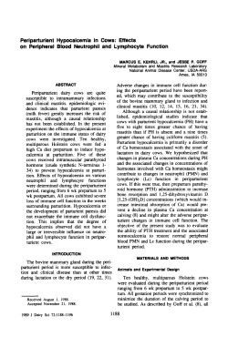 Periparturient Hypocalcemia in Cows: Effects on Peripheral Blood