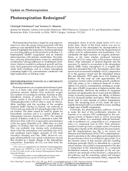 Photorespiration Redesigned1