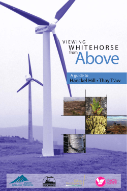 Haeckel Hill - ExploreNorth.com