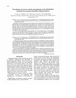 The influence of current velocity and substrate on the distribution