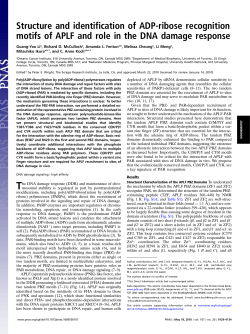 Structure and identification of ADP-ribose recognition motifs of APLF