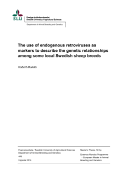 The use of endogenous retroviruses as markers to describe the