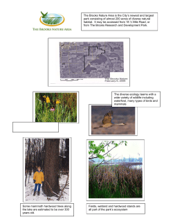 Brooks Nature Area pdf