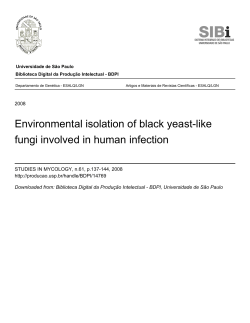 Environmental isolation of black yeast-like fungi