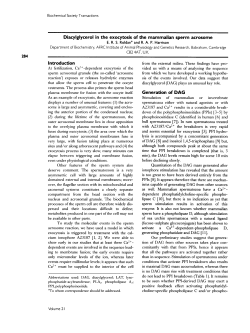 Diacylglycerol in the exocytosis of the mammalian sperm acrosome