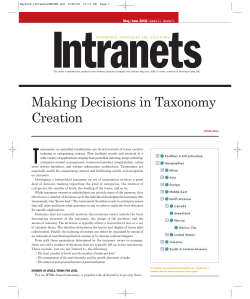 Making Decisions in Taxonomy Creation