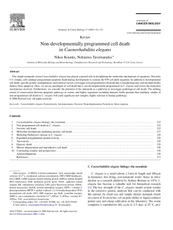 Non-developmentally programmed cell death in Caenorhabditis