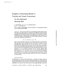 Energetics of Shortening Muscles in Twitches and Tetanic