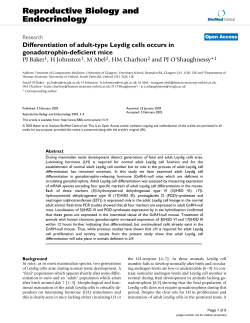 Differentiation of adult-type Leydig cells occurs in gonadotrophin
