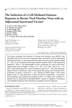 The Induction of a Cell-Mediated Immune Response to Bovine Viral
