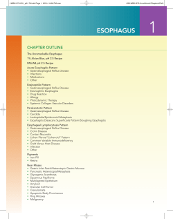 ESOPHAGUS