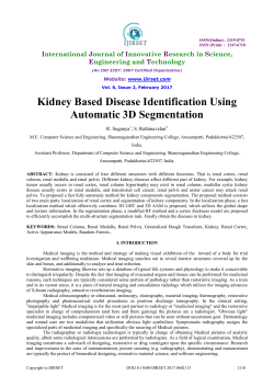 Kidney Based Disease Identification Using Automatic 3D