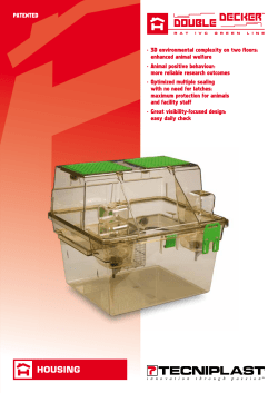3D environmental complexity on two floors