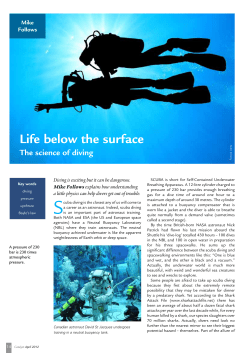 Life below the surface