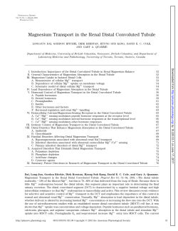 Magnesium Transport in the Renal Distal Convoluted