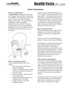 Adult Tracheostomy