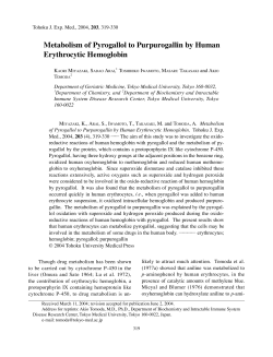 Metabolism of Pyrogallol to Purpurogallin by Human Erythrocytic