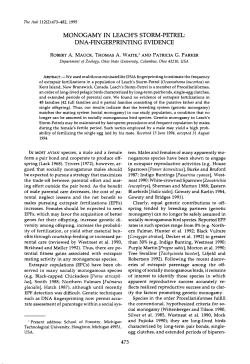 monogamy in leach`s storm-petrel: dna