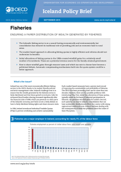 Iceland Policy Brief
