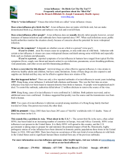 Bird Flu - Branch-Hillsdale-St. Joseph Community Health Agency