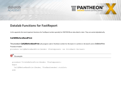 Datalab Functions for FastReport