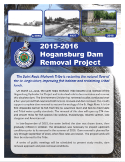 2015-2016 Hogansburg Dam Removal Project