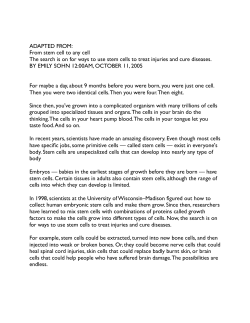 From stem cell to any cell The search is on for ways to use stem cells