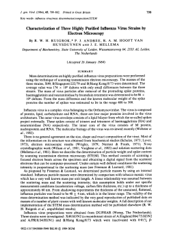 Characterization of Three Highly Purified Influenza Virus Strains by
