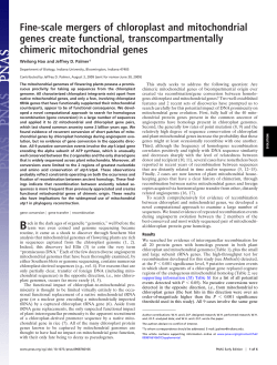 Fine-scale mergers of chloroplast and mitochondrial