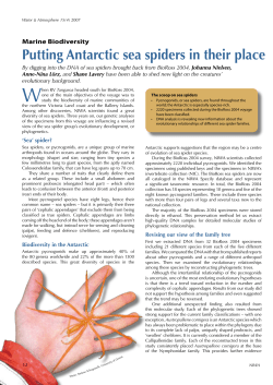 Putting Antarctic sea spiders in their place