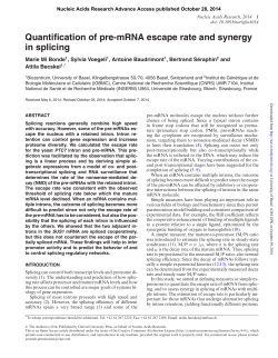 Quantification of pre-mRNA escape rate and synergy in splicing