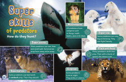 of predators - Scholastic Shop