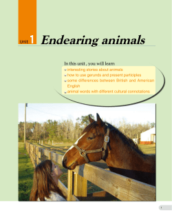 Unit 1 Endearing animals