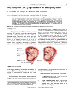 Pregnancy with Low Lying Placenta in the Emergency Room