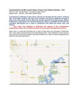 Cyanobacterial and Microcystin Study of Swan Lake Outflow Samples