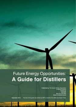 Future Energy Opportunities: A Guide for Distillers