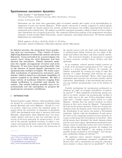 Spontaneous sarcomere dynamics