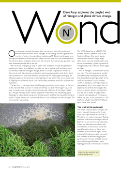 Dave Reay explores the tangled web of nitrogen and global