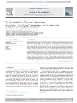 The mechanical role of the cervix in pregnancy