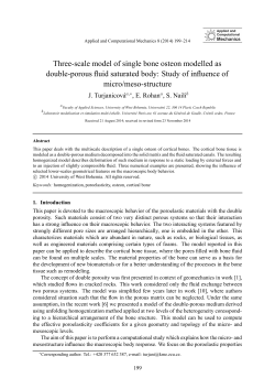 Three-scale model of single bone osteon modelled as double