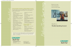 Flexible Spending Account